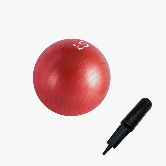 Võimlemispall + pump - 0042 - Pilt 7