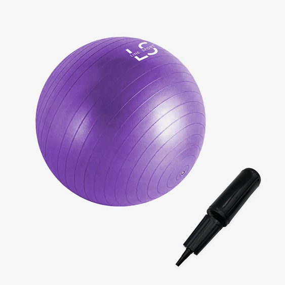 Võimlemispall + pump - 0042